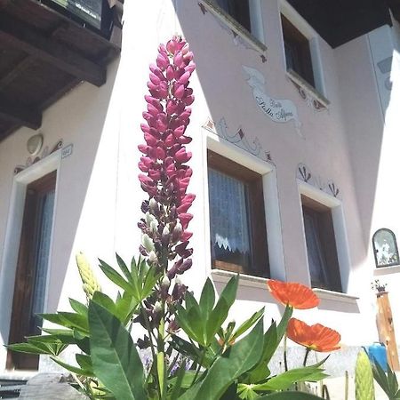 Baita Stella Alpina Livigno Zewnętrze zdjęcie
