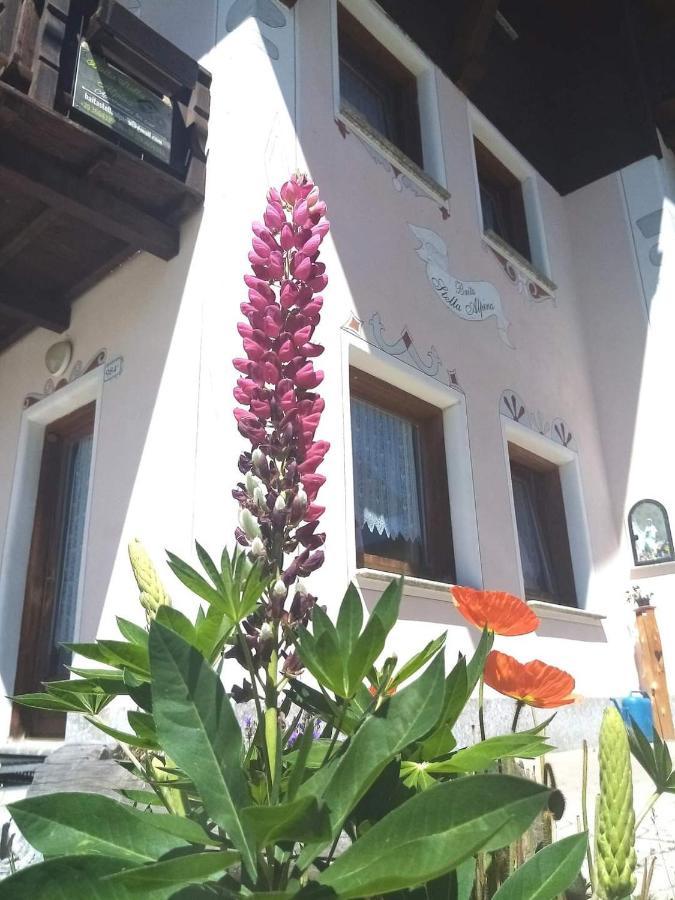 Baita Stella Alpina Livigno Zewnętrze zdjęcie